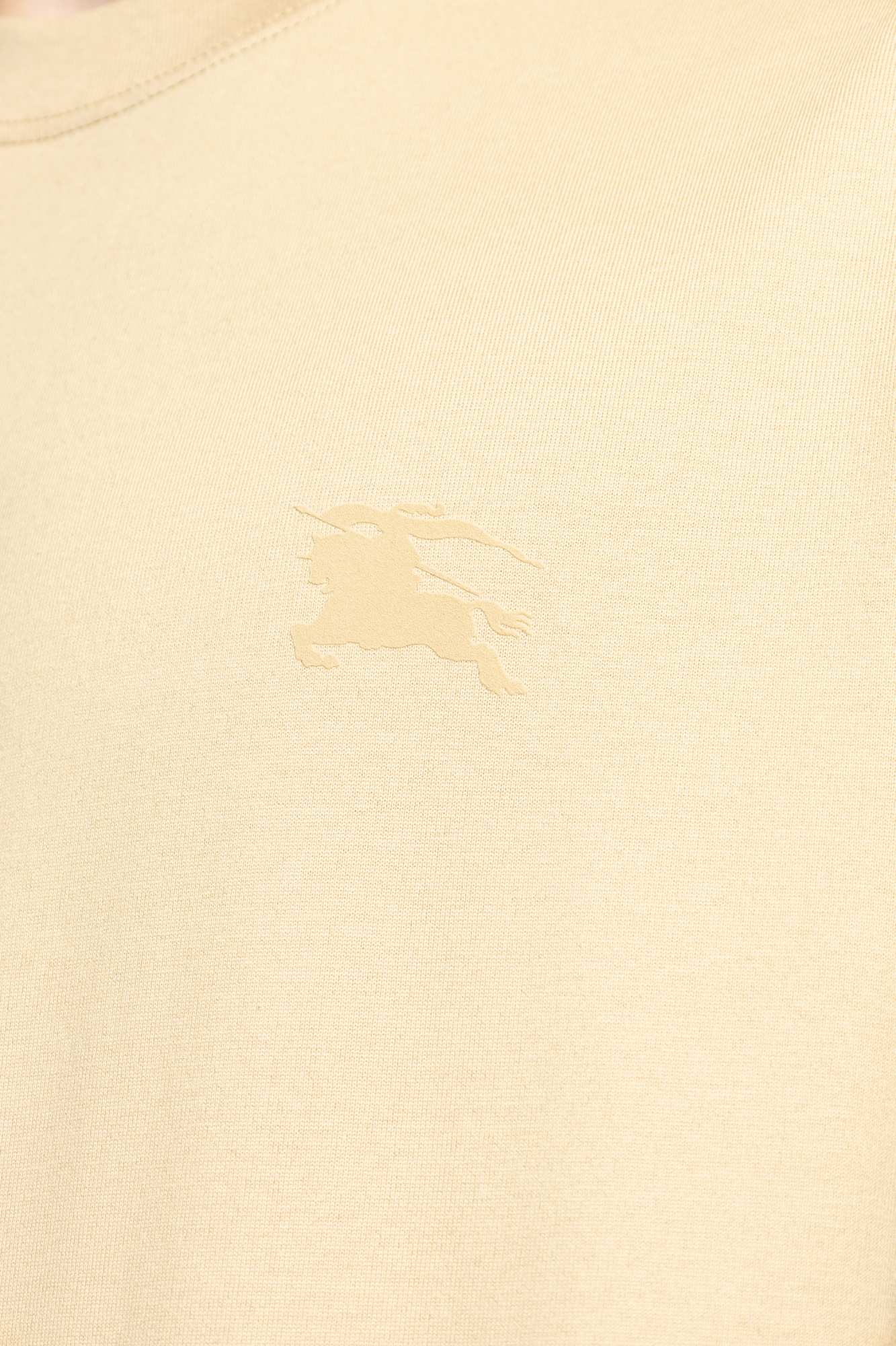 Burberry T-shirt with printed logo | Men's Clothing | Vitkac
